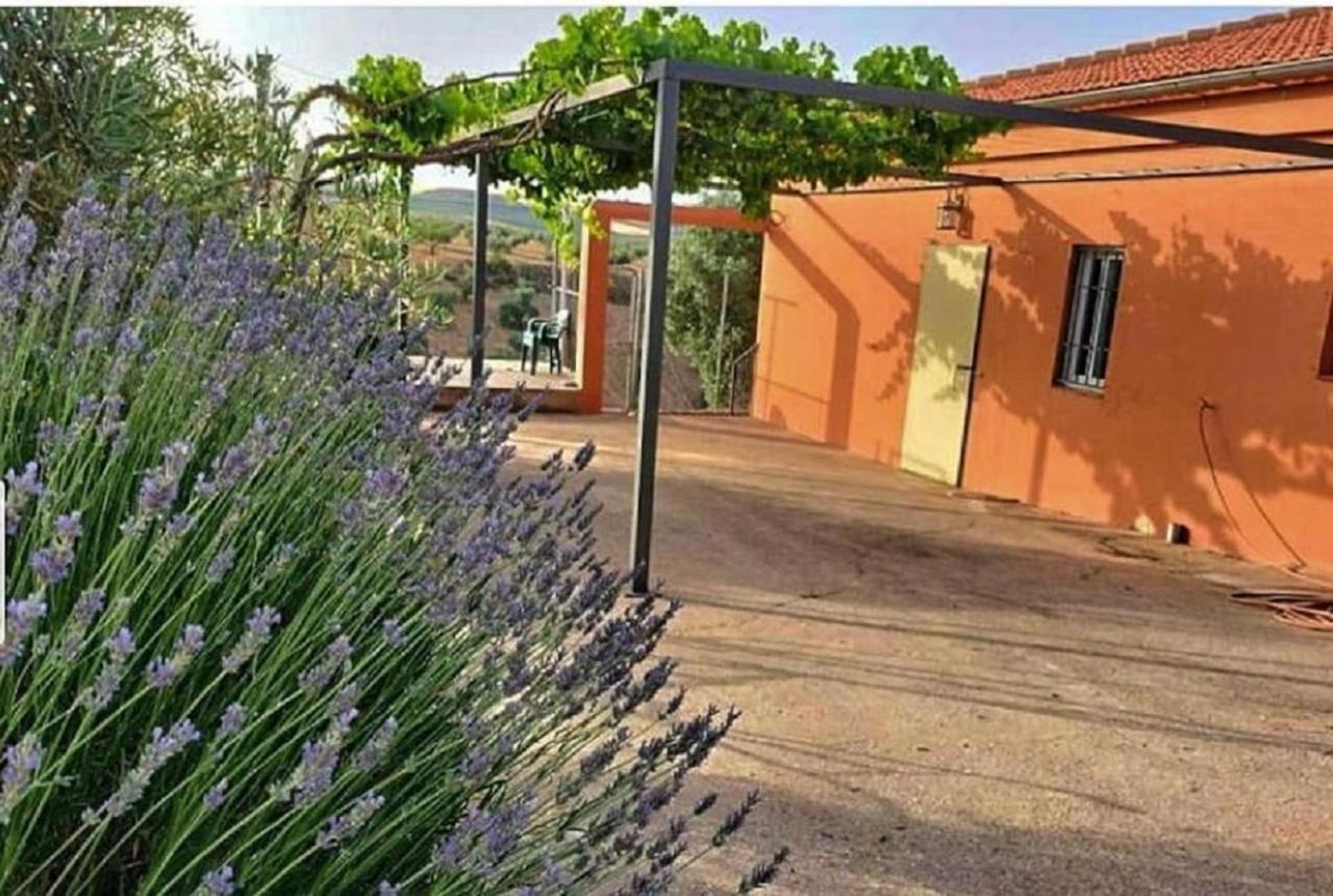 Cortijo Puente Alhama Villa Alhama de Granada Dış mekan fotoğraf